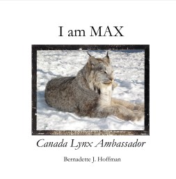 I am max cover