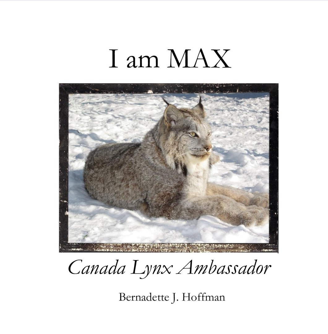 I am max cover