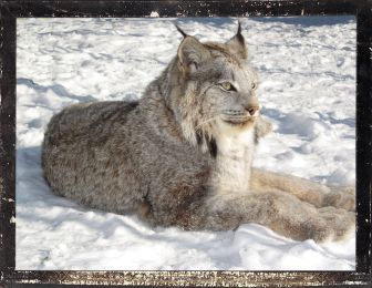 12-17-17 0629 cover1 framed(Copy)