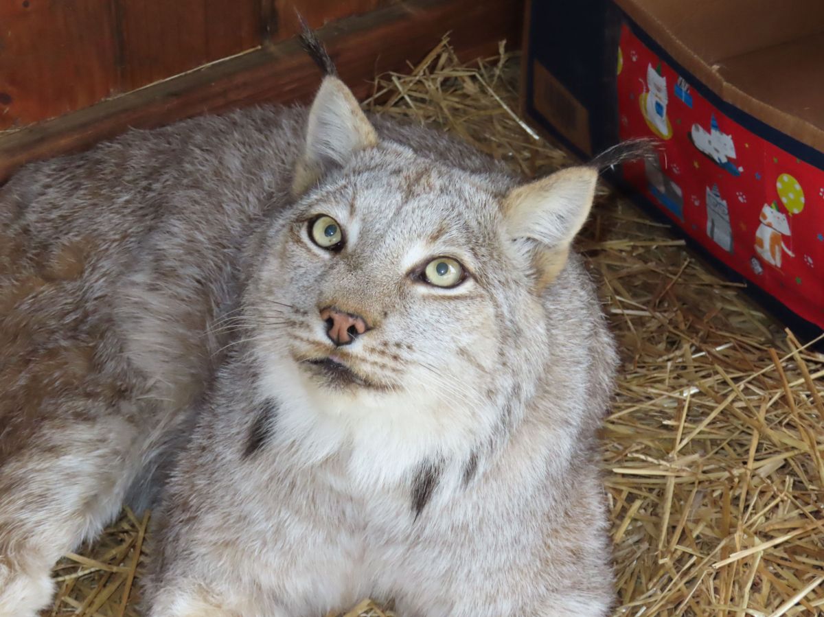 And the beat goes on